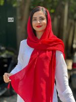 شال برشکا ۲۹۳
