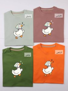 تیشرت باکسی اردک ۴۲۵