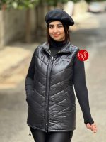 پافر ویشکا ۸۱